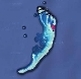 st-brandon.jpg